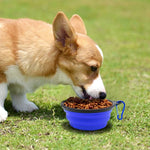 2 Pack Collapsible Dog Water Bowls