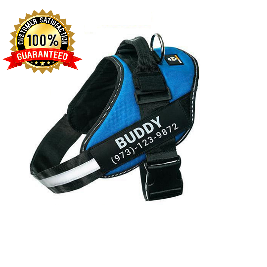 Personalised Dog Harness Vest