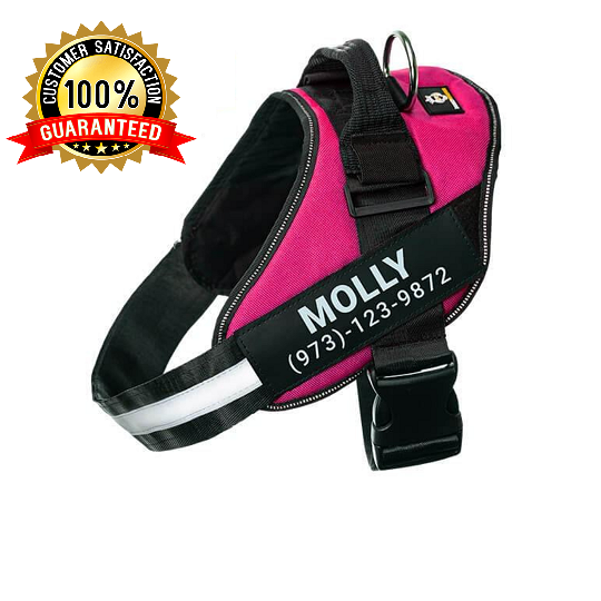 Personalised Dog Harness Vest