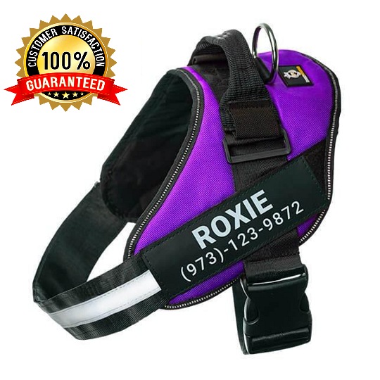 Personalised Dog Harness Vest